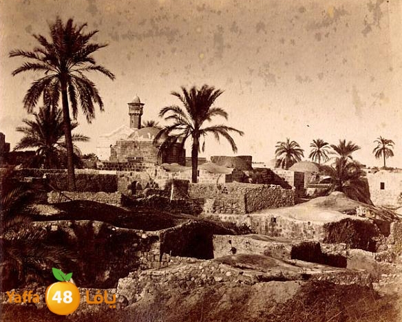 lud ramla 0507 (8).jpg